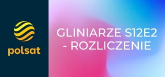 Gliniarze S12E2 - Rozliczenie