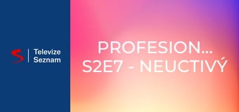 Profesionálové S2E7 - Neuctivý státní zaměstnanec