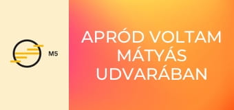 Apród voltam Mátyás udvarában