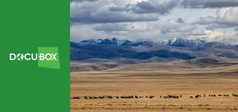 Mongolia. Stepowy emirat