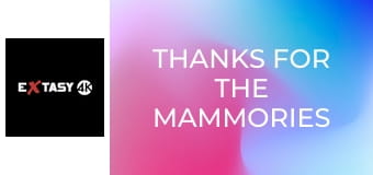 Thanks for the Mammories 3