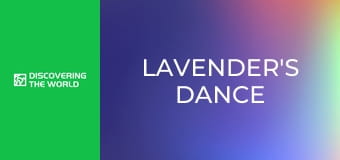 Lavender's Dance