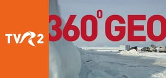 Documentar 360° - GEO - Paris, o grădină pentru albine
