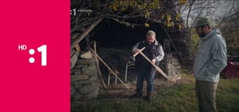 Zvuky domova E14 - Vajnory