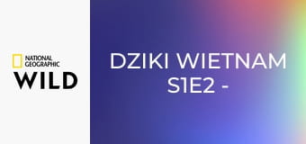 Dziki Wietnam S1E2 - Tropikalne południe: kraina wody