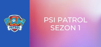 Psi Patrol Sezon 1 Odcinek 4