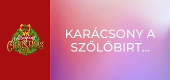 Karácsony a szőlőbirtokon