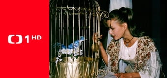 O modrém ptáčku O modrém ptáčku