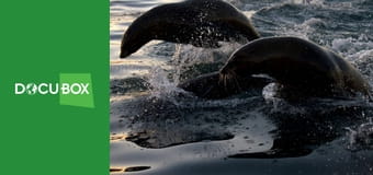 Rok na planecie Ziemia S1E3