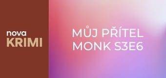 Můj přítel Monk S3E6 - Pan Monk a dívka, která dělala zbytečný poplach