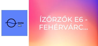 Ízőrzők E6 - Fehérvárcsurgó