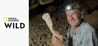 Dziki Półwysep Arabski S1E2 - Arabia Saudyjska