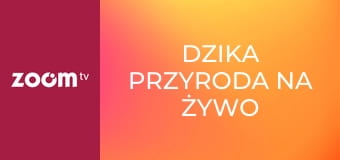 Dzika przyroda na żywo S1E1