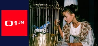 O modrém ptáčku O modrém ptáčku