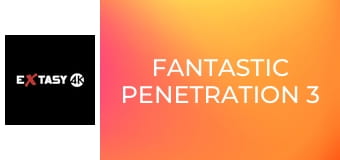 Fantastic Penetration 3