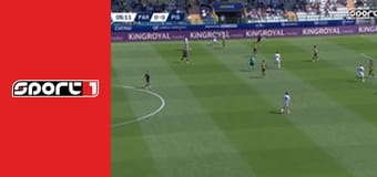 Fotbal - Parma - Pisa