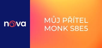 Můj přítel Monk S8E5 - Pan Monk svědčí u soudu