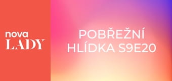 Pobřežní hlídka S9E20