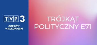 Trójkąt polityczny E71