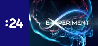 Experiment E29 - Stromy a zver pred zimou