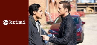 Polícia Chicago S5E17 - Bod zlomu