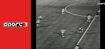 Labdarúgás - Feyenoord - Celtic