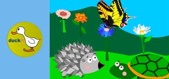 Állatok Birodalma Állatok Birodalma