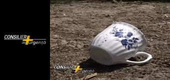 Consilier de urgență - Episodul 13