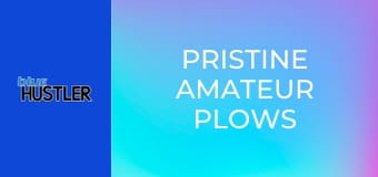 Pristine Amateur Plows