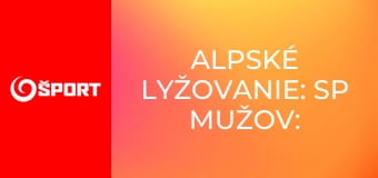 Alpské lyžovanie: SP mužov: Lillehammer