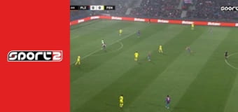 Fotbal - Viktoria Plzeň - Fenerbahçe