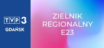 Zielnik regionalny E23