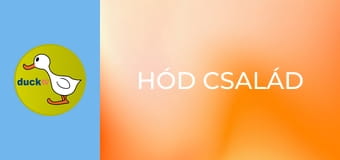 Hód család Hód család