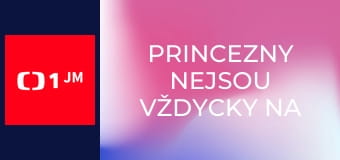 Princezny nejsou vždycky na vdávání
