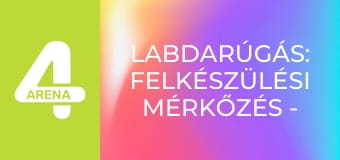 Labdarúgás: Felkészülési mérkőzés - Svájc – Németország