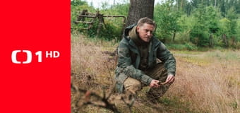 Zpátky do přírody - Brdy