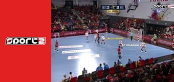 Házená - Gloria Bistrita - Ikast