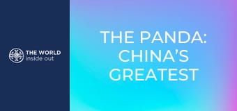 A panda: Kína legnagyobb kincse. Élet egy hegyi faluban. Kína.