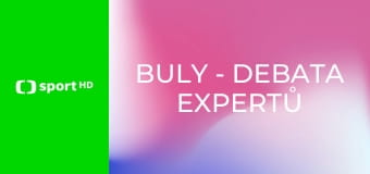 Buly - debata expertů