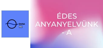 Édes anyanyelvünk - A helyesírás stilisztikája