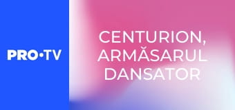 Centurion, armăsarul dansator