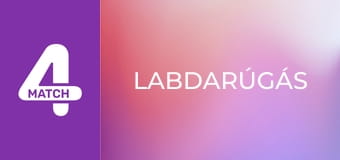 Labdarúgás. Serie A: Full Impact