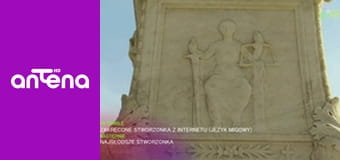 Zakręcone stworzonka z Internetu S1E8