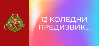 12 Коледни предизвикателства