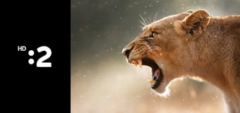 Čudná príroda E17