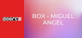 Box - Miguel Angel Cotto - Carlos Ramirez