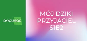 Mój dziki przyjaciel S1E2 - Ambasadorzy