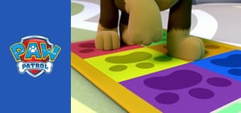 Psi Patrol Sezon 1 Odcinek 4