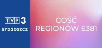 Gość regionów E381