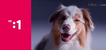 Neposlušní E8 - Jenny